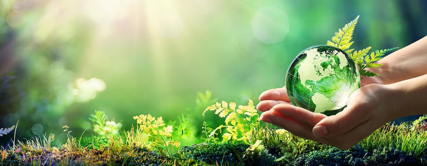 Sustainability